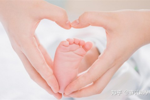 http://zhongshan.51dzb.net/post/188.html|中山新闻中心